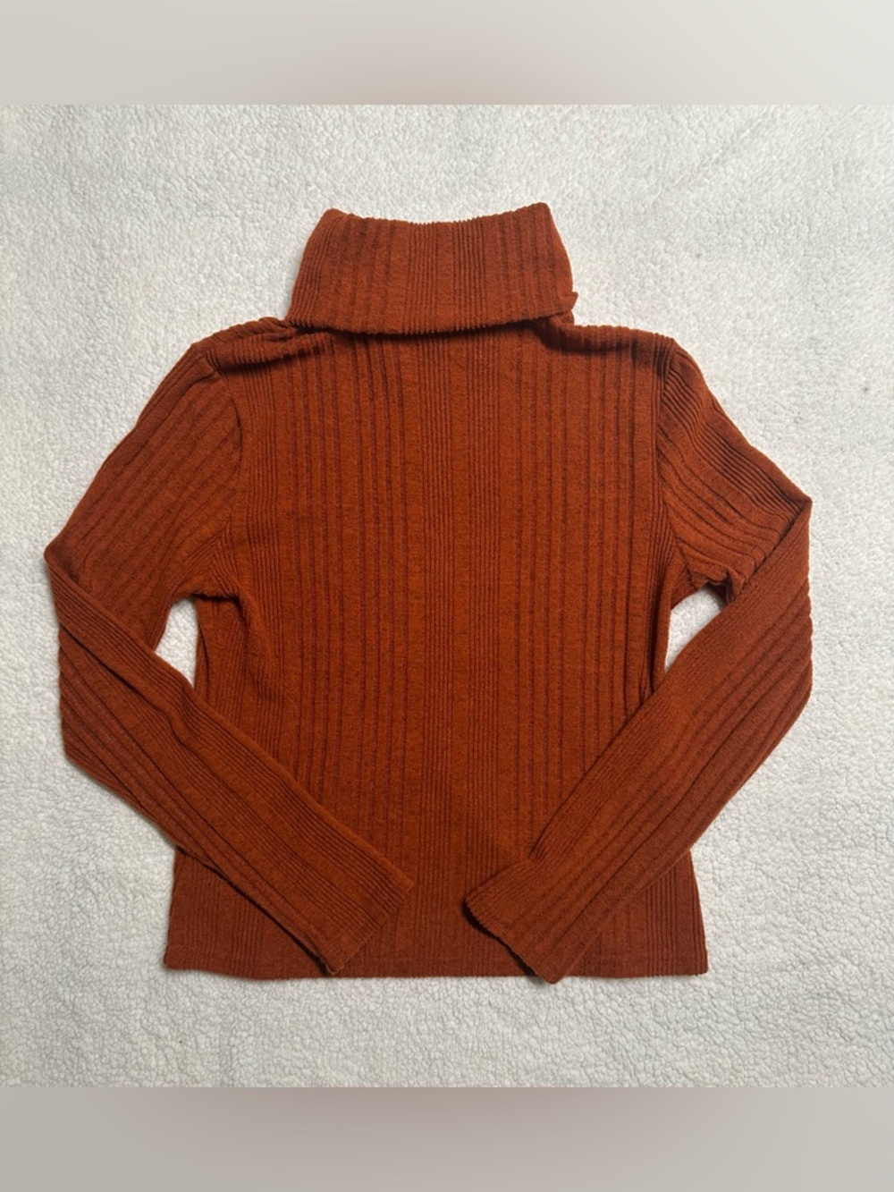 Rust Ribbed Turtleneck Sweater - Picture 5 of 5